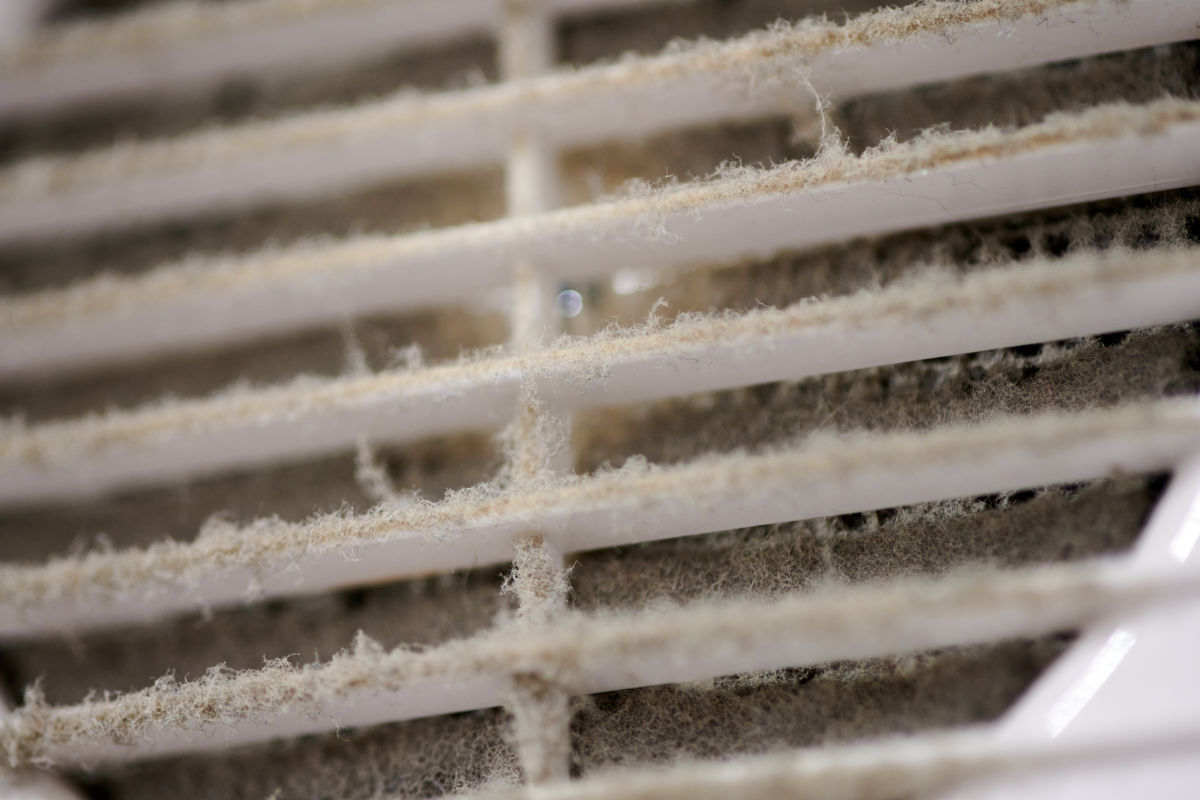 Read more about the article Indoor Air Quality